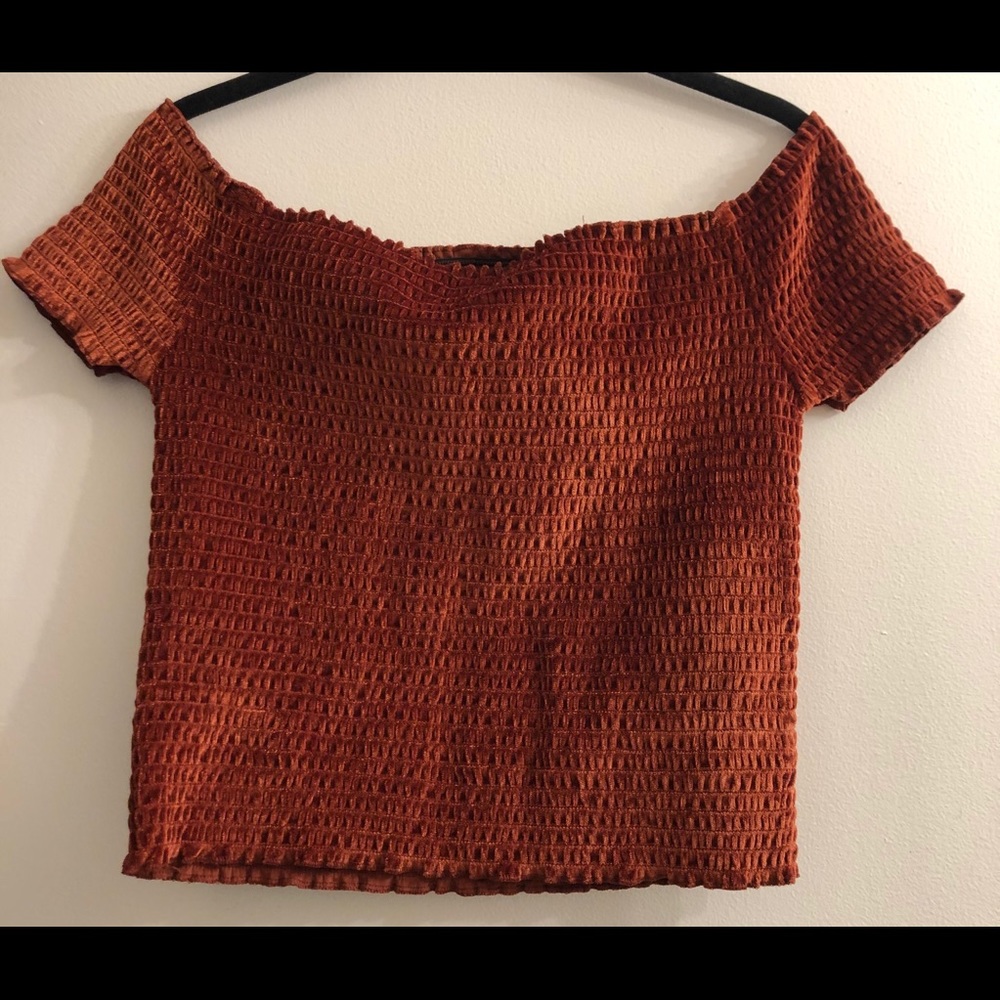 NWT Forever 21 Velvet Cropped Top (Smocked)